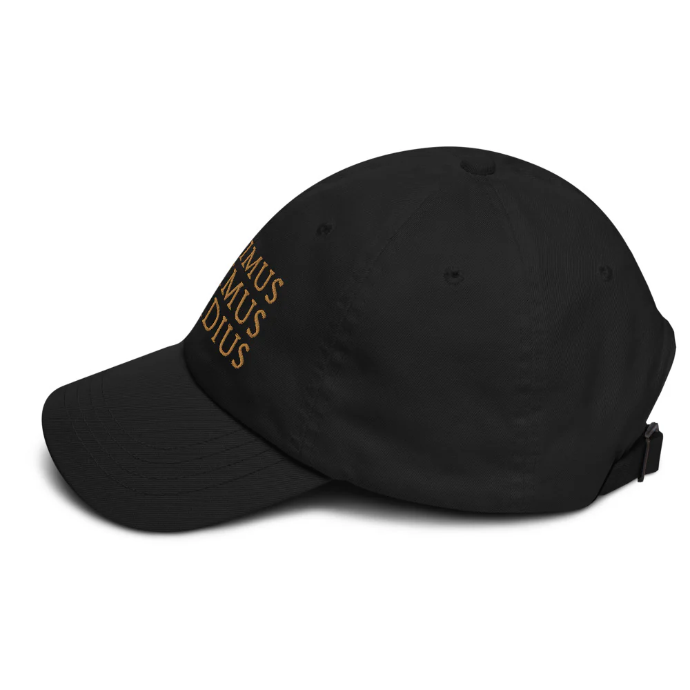 Gladiator Maximus Decimus Meridius Dad Hat - Image 3