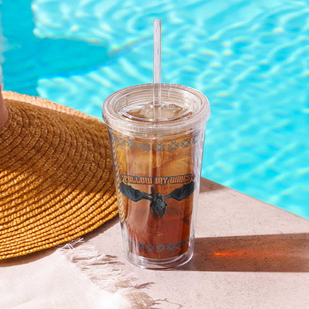 How to Train Your Dragon Follow My Wings Tumbler - Image 3