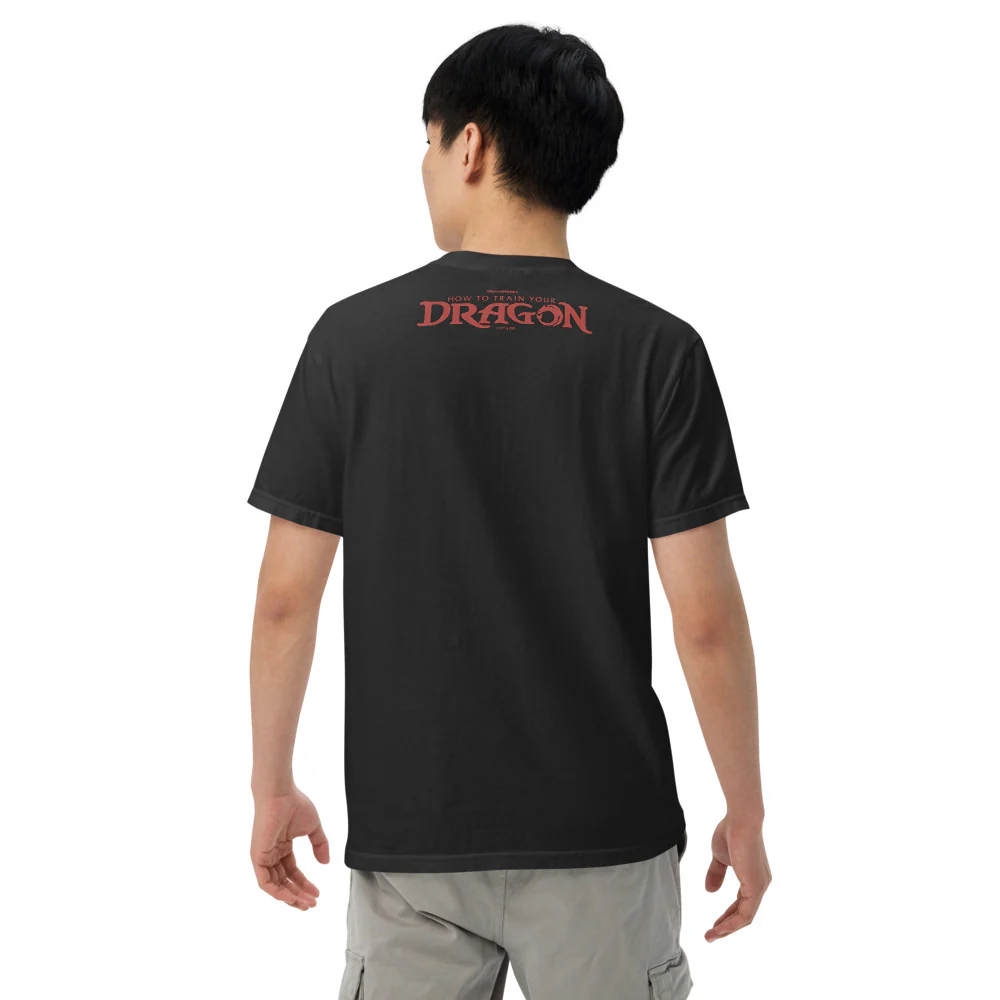 How to Train Your Dragon Welcome to Dragon Training Comfort Colors T-Shirt - Image 5