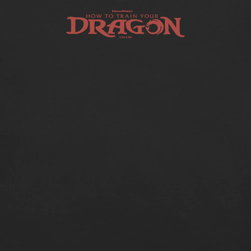 How to Train Your Dragon Welcome to Dragon Training Comfort Colors T-Shirt - Image 6